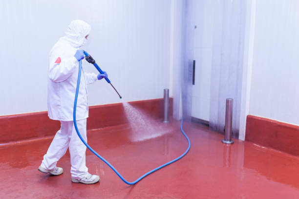 Best Roof Washing  in Leisure Village, NJ
